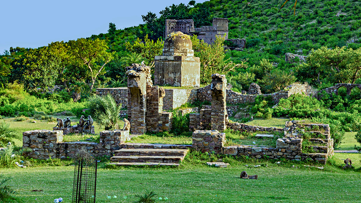 Sariska Tiger Camp